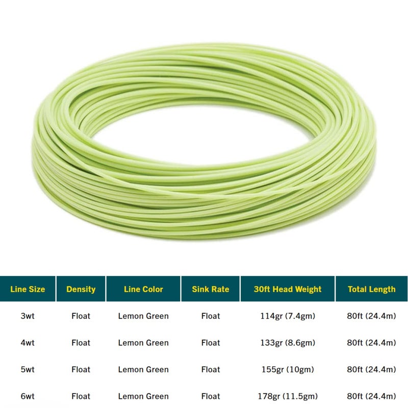 RIO PRODUCTS Mainstream Trout DT Fly Line - Developed for The Average Fly Fishermen - Easy Casting and Smooth Design - Freshwater - 5 Weight - Image 2